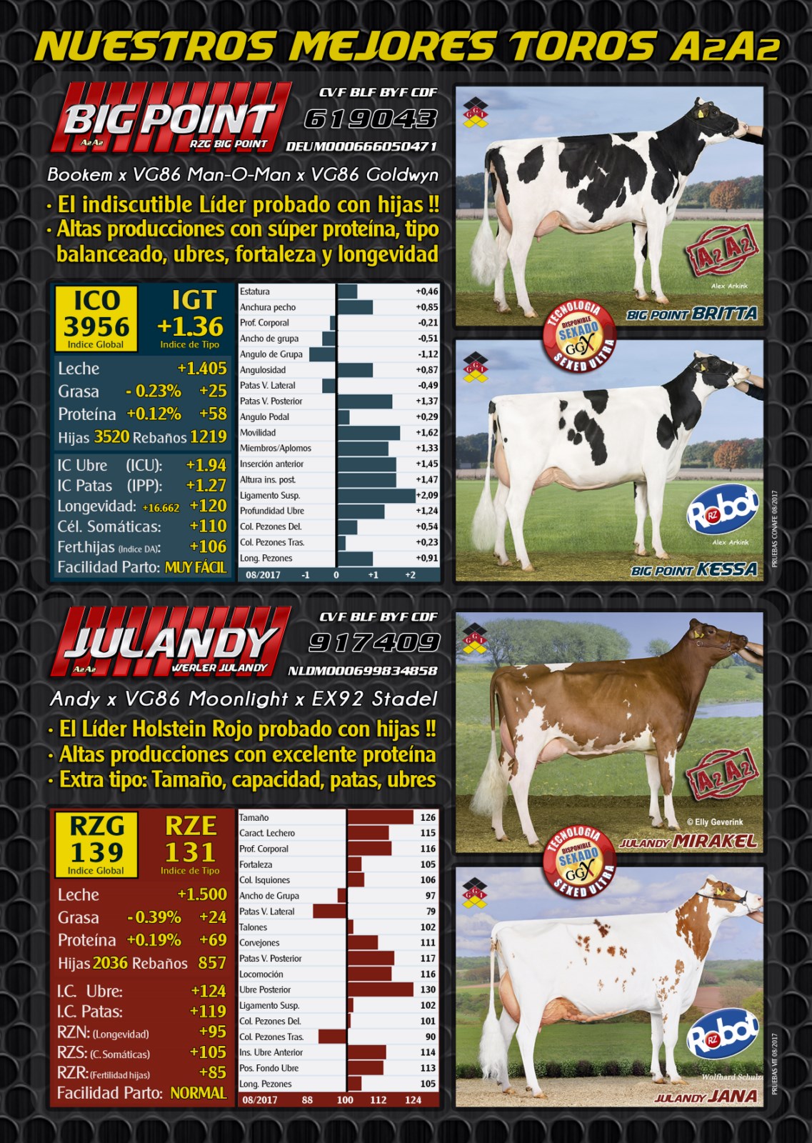 BAS SL · Genética alemana | Semen alemán| Ofertas especiales Toros ...